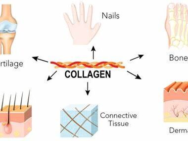 افضل انواع الكولاجين