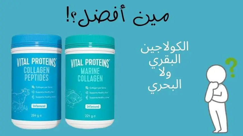 هل الكولاجين البحري يزيد الوزن